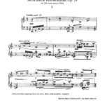 Schoenberg, 6 Little Piano Pieces, Op.19-p2