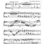 Sibelius, 5 Pieces for Piano, Op.85-p09