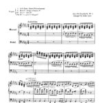 Sibelius, Romanze, Op.24 #9 (for organ)-p3