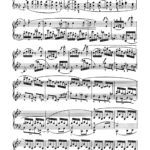 Schumann, Piano Sonata No.2, Op.22-p04