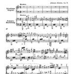 Brahms, Works for Piano Vol.3-p003